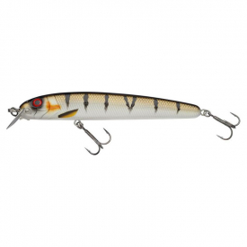 Copper Perch