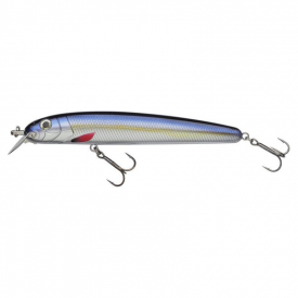 Blue Herring