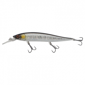 Baitfish