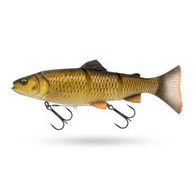 Bream