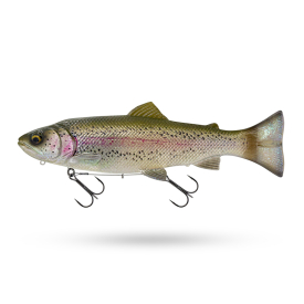 Clear Rainbow Trout