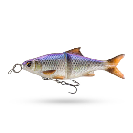 Clear Blue Roach