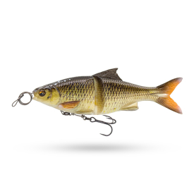 Horny Bream