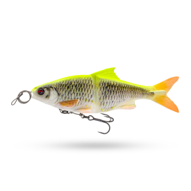 Lemon Roach