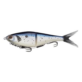 Baitfish