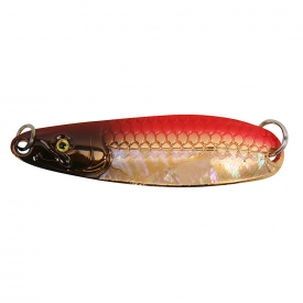 Abalone Gold Red