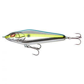 Blue Gill