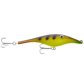 Yellow Perch