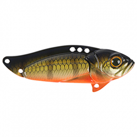 Baby Perch