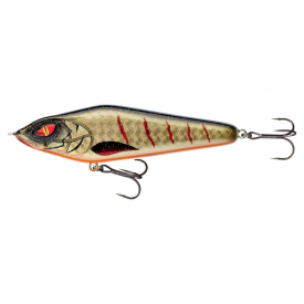 Golden Shiner
