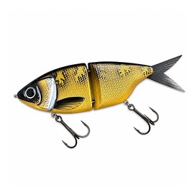 Spotted Bullhead