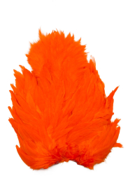 White dyed Orange