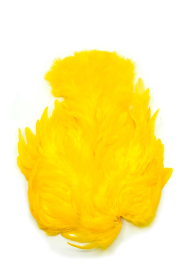 White dyed Yellow