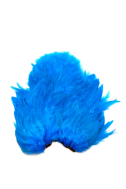 White dyed Kingfisher Blue