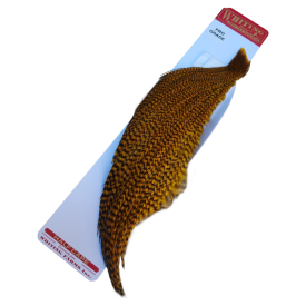 Grizzly dyed March Brown