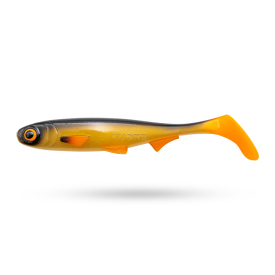 Golden Roach
