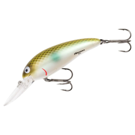 Green Pearl Shad