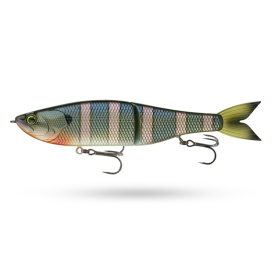 Bluegill Spawn