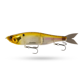 Chrome Gizzard
