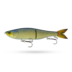 Live Shiner