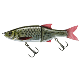 Live Carp