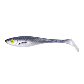 Silver Minnow
