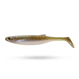 Emerald Shiner