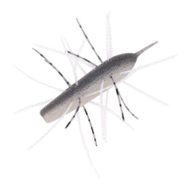 Electric Shad