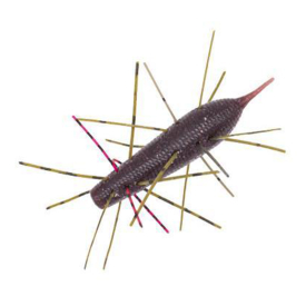 Zaribug