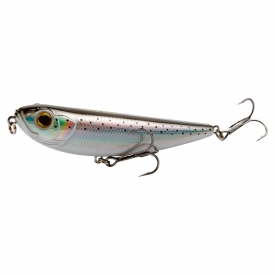 Sea Trout