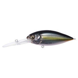Jukucho Shad