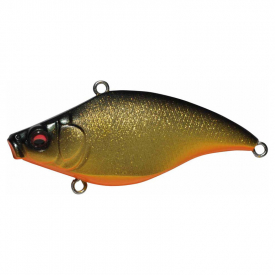 GLX Champagne Kinkuro