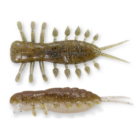 Neon Shrimp