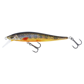 Brook Trout Fry
