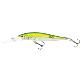 Olive Minnow