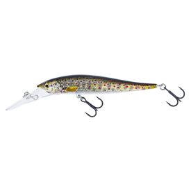 Brown Trout Fry