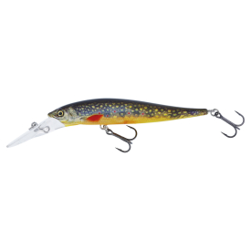 Brook Trout Fry