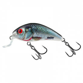 Holographic Real Dace