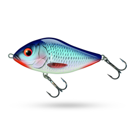 Bleeding Blue Shad