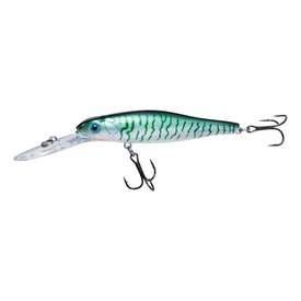 Stickleback