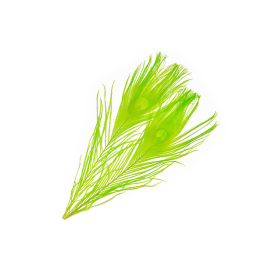 B&D Greenlander Green