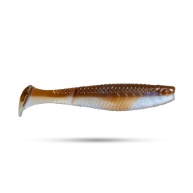 Baitfish