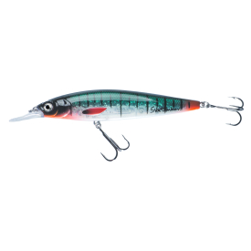 Red Minnow Lexe