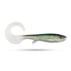 Baltic Herring