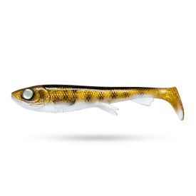 The Walleye
