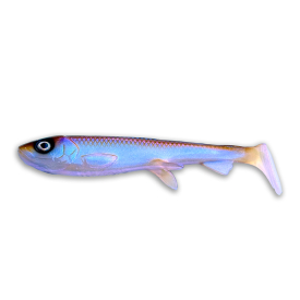 Vibrant Wakasagi UV