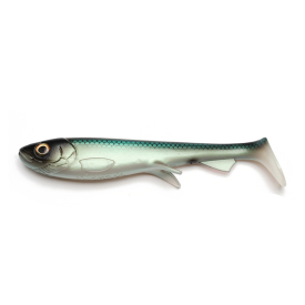 Baltic Herring