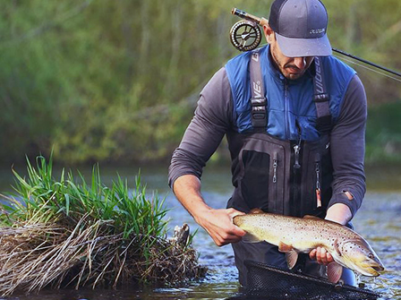 Truites dans l'eau courante