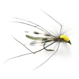 Parachute Longlegs - 10
