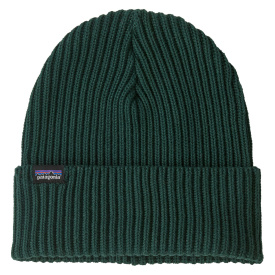 Patagonia Fishermans Rolled Beanie CASG